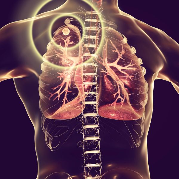 General Physician in Crossings Republik, Ghaziabad